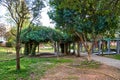 Scenic view from Kalamata Municipal Railway Park in Kalamata city, Messenia, Greece