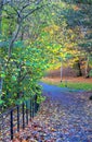 Scenic view of Kelvingrove Park - Glasgow, Scotland