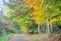 Scenic view of Kelvingrove Park - Glasgow, Scotland