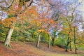 Scenic view of Kelvingrove Park - Glasgow, Scotland