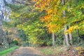 Scenic view of Kelvingrove Park - Glasgow, Scotland