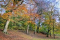 Scenic view of Kelvingrove Park - Glasgow, Scotland