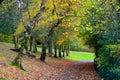 Scenic view of Kelvingrove Park - Glasgow, Scotland