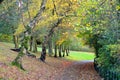 Scenic view of Kelvingrove Park - Glasgow, Scotland