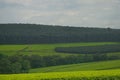 Scenic view of Kericho tea felids, Kenya.