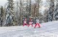 Scenic view of kids in ski school on a ski slope in a forest surrounded by snow Royalty Free Stock Photo