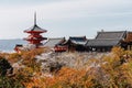 Scenic view of Kiyomizu temple in Kyoto, Japan