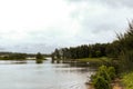 scenic view of a lake with dark green trees, plants and bushes on the edge Royalty Free Stock Photo