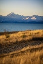 Scenic view of Lake Pukaki, New Zealand during sunset Royalty Free Stock Photo