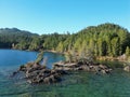 Scenic view of a lake shoreline, featuring rocky coastal areas, lush pine trees Royalty Free Stock Photo