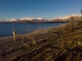 Scenic view of Lake Tekapo, South Island, New Zealand Royalty Free Stock Photo