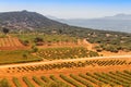 scenic view of lavender fields and other agricultural crops from the farm owners houses. Countryside and scenic nature view