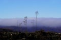 Scenic view of leafless trees on the hiking trail againt a mountain on a foggy day in Sauerland Royalty Free Stock Photo