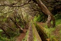 Scenic view of the Levada of Madeira irrigation channels in the wilderness