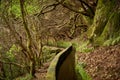 Scenic view of the Levada of Madeira irrigation channels in the wilderness