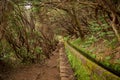 Scenic view of the Levada of Madeira irrigation channels in the wilderness