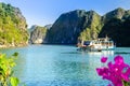 Scenic view with limeston mountains in the bay near Cat Ba Island, Vietnam Royalty Free Stock Photo