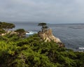 Scenic view of a Lone Cypress tree in Pebble Beach, California Royalty Free Stock Photo