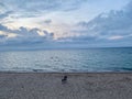 Scenic view of a lonely chair on the shore of Lake Michigan Royalty Free Stock Photo