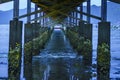 A scenic view looking down a wooden pier over calm water at sunrise near Karanggongso Beach, Trenggalek, Indonesia. Royalty Free Stock Photo