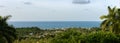 Scenic view lowers plants and trees and the ocean in Montego Bay, Jamaica Royalty Free Stock Photo