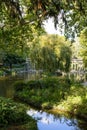 Scenic view of a lush garden overlooking a pond in Paris, France