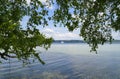 lush green birch trees hanging over Lake Starnberg or Starnberger See in Bernried on sunny May day, Bavaria, Germany