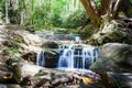 Scenic view of a lush green forest, featuring a tranquil stream and rocky outcrops Royalty Free Stock Photo