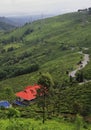 scenic view of lush green himalayan foothills, zig zag mountain road and tea plantation from tingling view point Royalty Free Stock Photo