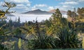 View of the lush and verdant Matakohe Countryside Royalty Free Stock Photo