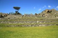 Scenic view in Macchu Picchu, Peru, South America Royalty Free Stock Photo