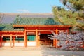 Scenic view of majestic Heian Jingu Temple Shrine in Kyoto, Japan, with a beautiful cherry blossom tree  Sakura Royalty Free Stock Photo