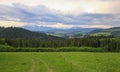 Scenic view of the meadow / Landscape