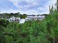 Hillside residential area surrounded by lush pine forest Royalty Free Stock Photo