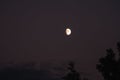 Scenic view of moon shining over tree and clouds