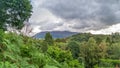 A scenic view of a mountain range with trees and green vegetation in the foreground under a stormy grey cloudy sky Royalty Free Stock Photo