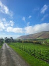 Scenic view of a mountainous green landscape with a long path in cloudy sky background Royalty Free Stock Photo