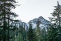 Scenic view of mt Shuksan,washington,usa.