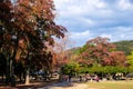 Scenic view of the Nara park full of tourists and autumn colorful trees on a sunny day, Japan Royalty Free Stock Photo