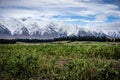 Scenic view of New Zealand farm