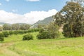 Scenic View, NSW, Australia Royalty Free Stock Photo