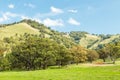 Scenic View, NSW, Australia Royalty Free Stock Photo