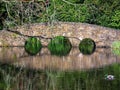 Scenic view of an old arched bridge over a pond in a green garden Royalty Free Stock Photo