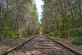 Scenic view of an old railway in the middle of a forest in the countryside Royalty Free Stock Photo