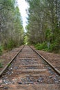 Scenic view of an old railway in the middle of a forest in the countryside Royalty Free Stock Photo