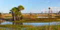 Scenic Vista in a Florida Wetlands Area Royalty Free Stock Photo