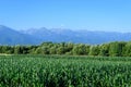 Scenic view over a agricultural field near the Fagaras Mountains Muntii Fagaras in Transylvania Transilvania region of Romania Royalty Free Stock Photo