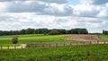 Scenic view over cropped land at the Flemish countryside around Asse