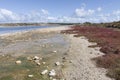 Scenic view over one of the beaches of Rottnest island, Australia. Royalty Free Stock Photo