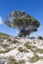 Scenic view over one of the beaches of Rottnest island, Australia. Royalty Free Stock Photo